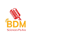 logo_bdm13